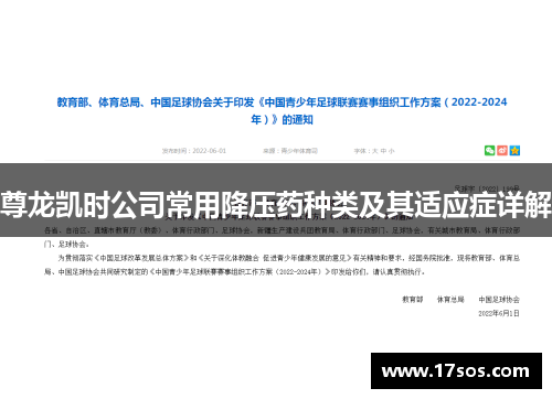 尊龙凯时公司常用降压药种类及其适应症详解